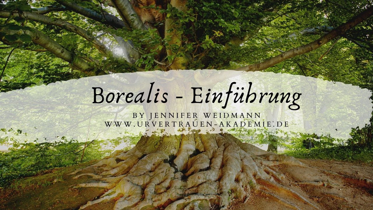 Borealis - Alte Seelen Heimat -Einführung - Urvertrauen