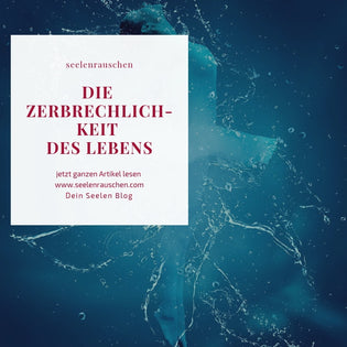  Blog Artikel Zerbrechlichkeit des Lebens