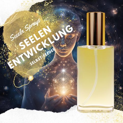 Kategoriebild für die Seelen Spray Reihe Seelen-Entwicklung mit einem ki generierten Bild einer Frau die einen leuchtenden Ball hält. Im Vordergrund das Seelen Spray Seelenplan