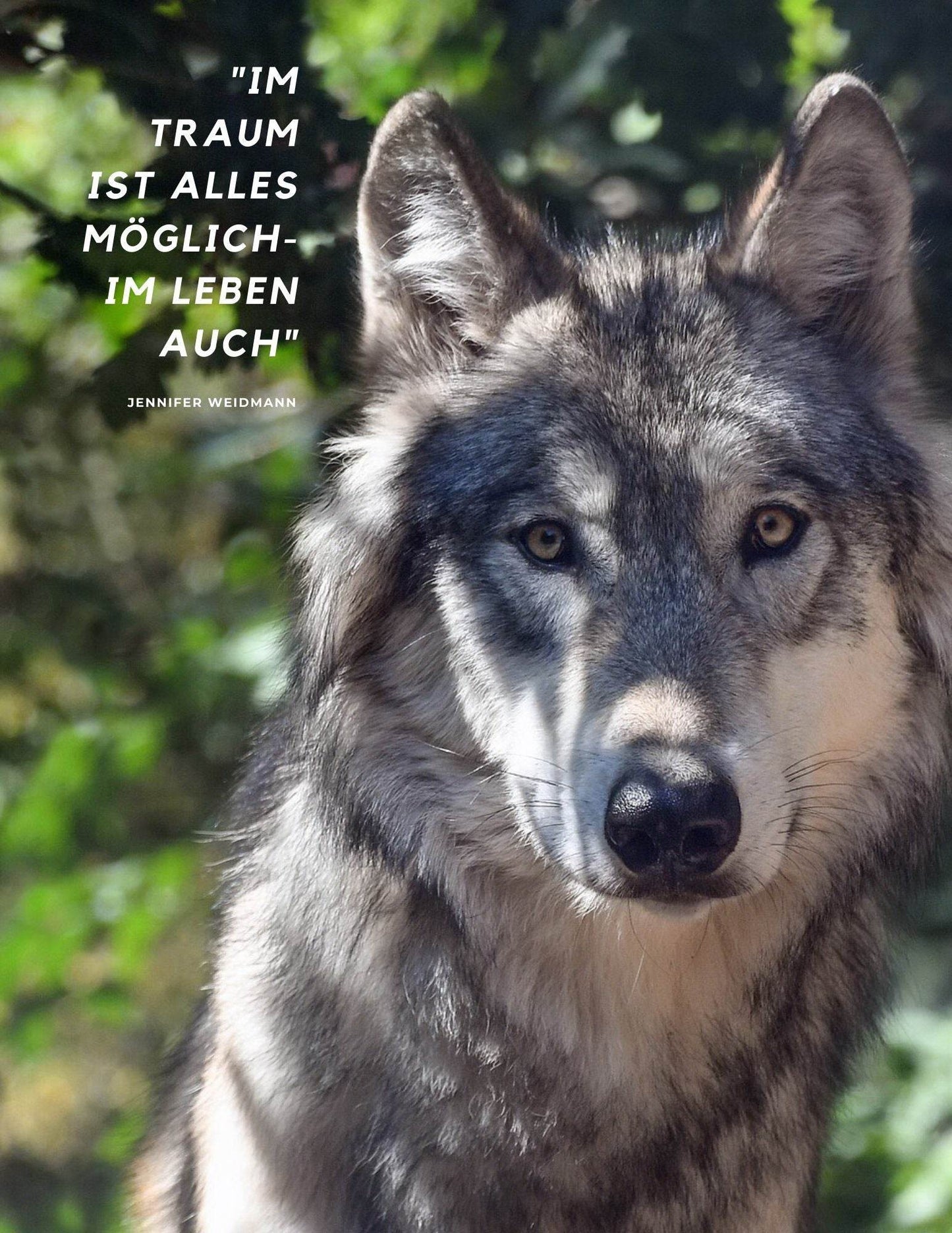 Traum-Tagebuch - Edition WOLF - Urvertrauen
